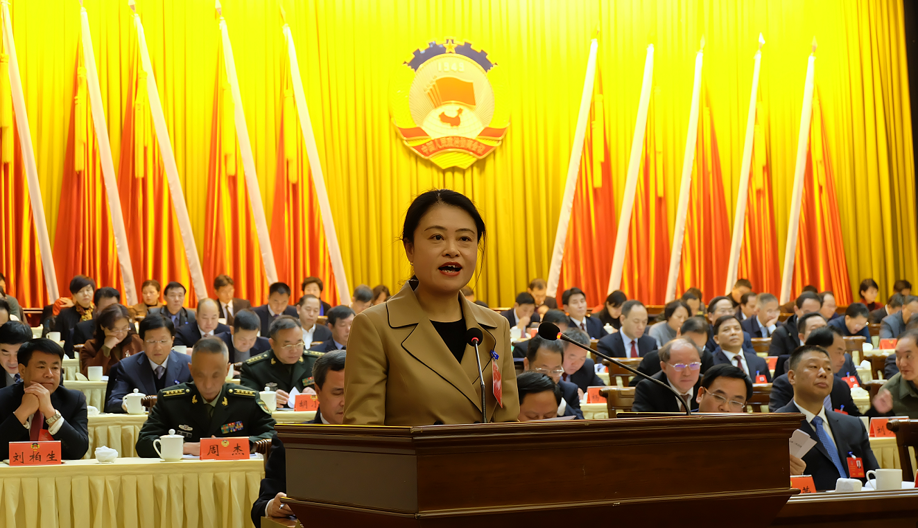 李轶芳委员做大会发言