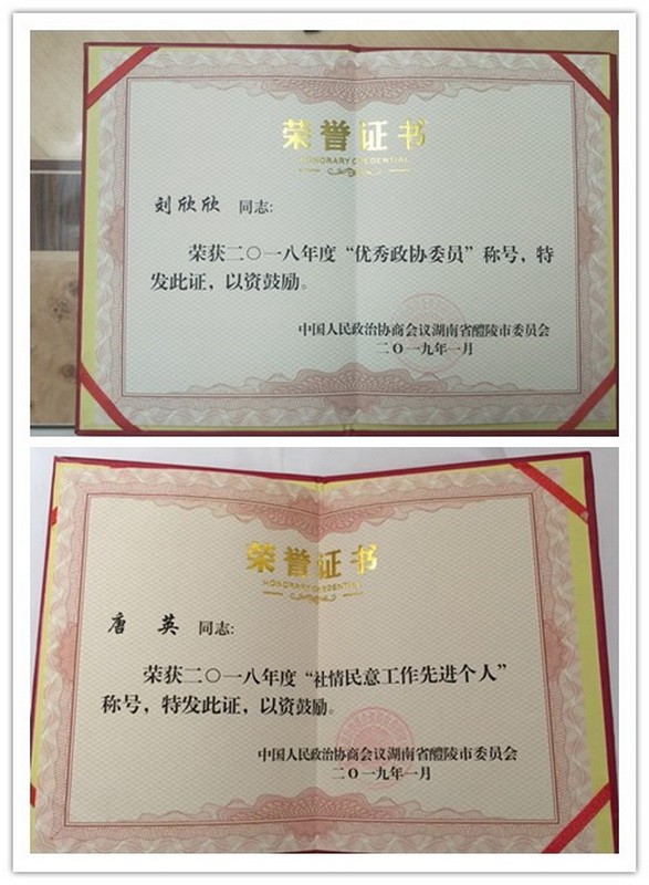 醴陵两会顺利召开 民革党员积极履职 (2)_调整大小