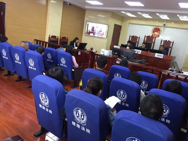 醴陵民革政协委员旁听法院庭审_调整大小