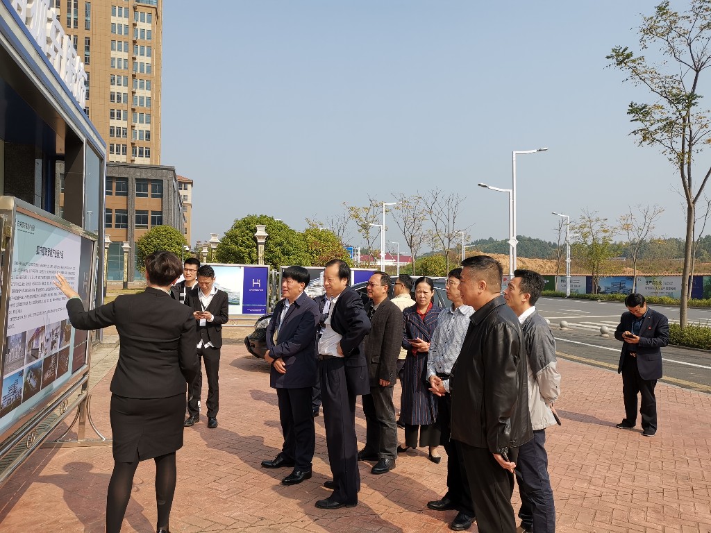 5555c2c3843c73f298975651e4bd369