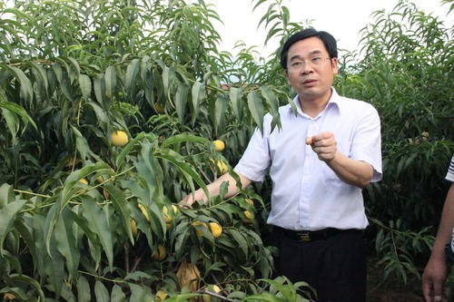 20180315103430068vnjeqr